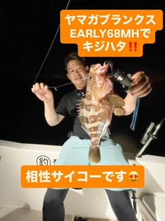 キジハタの釣果