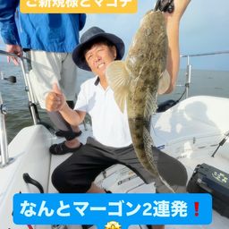 マゴチ
