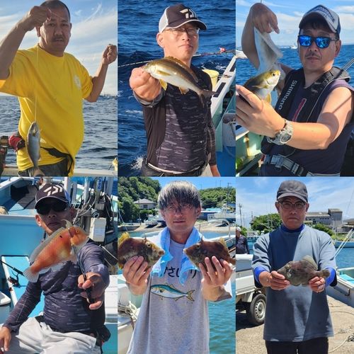イサキの釣果