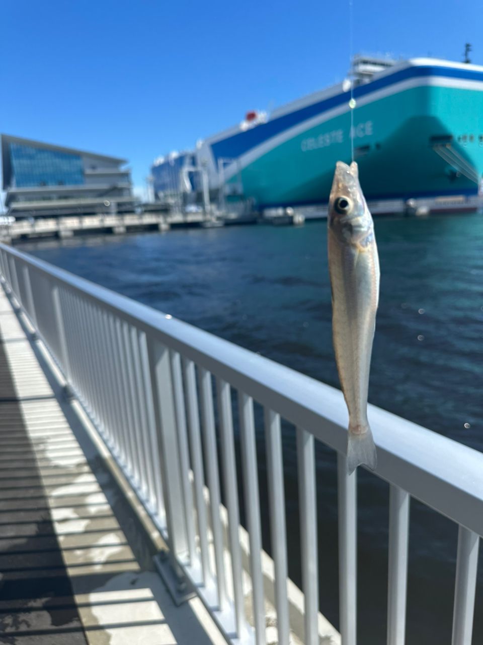 さかな。 デュオ レアリス のませ小魚ミニ 68mm/8g (NOMASE KOZAKANA MINI