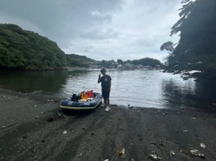 ベラの釣果