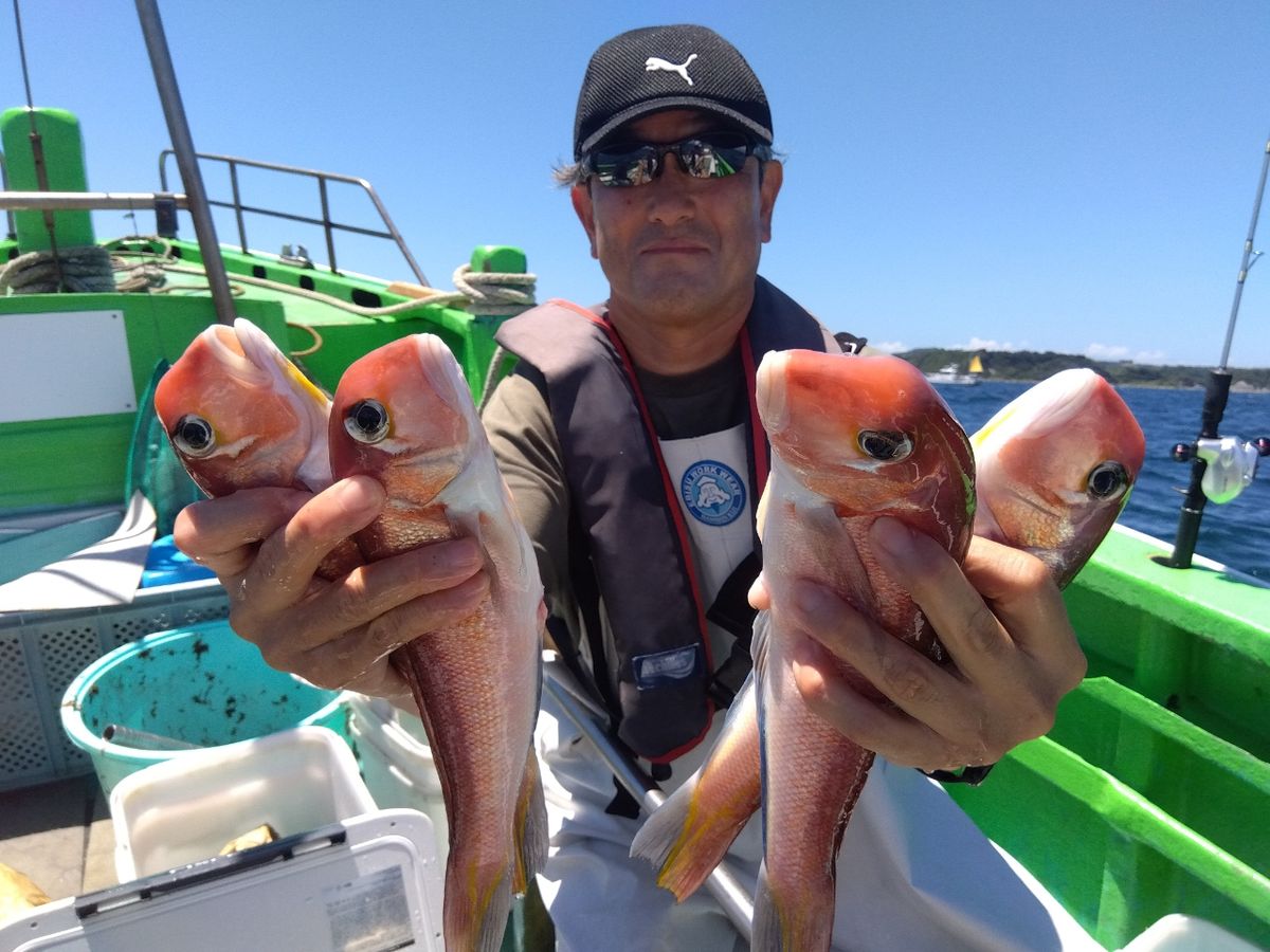 せどおと丸さんの釣果 2枚目の画像