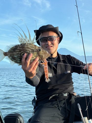 マトウダイの釣果