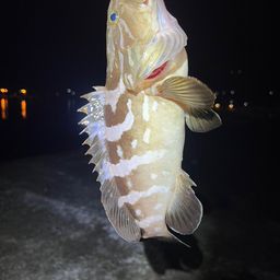 クエ