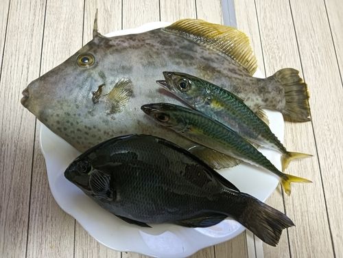 釣果