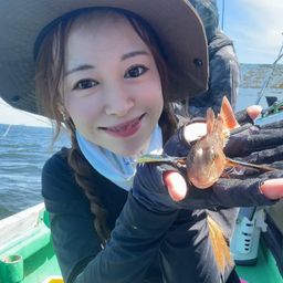 ホウボウ