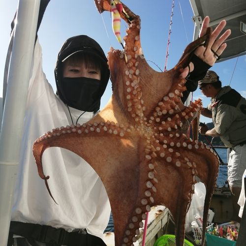タコの釣果
