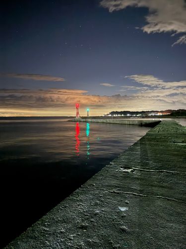 チャリコの釣果