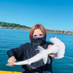 ハンマーヘッドシャーク