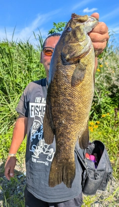 スモールマウスバスの釣果