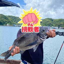 チヌ