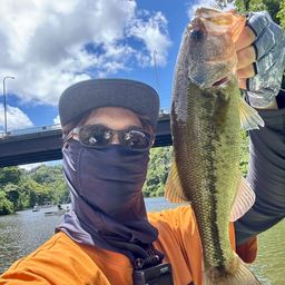 ラージマウスバス