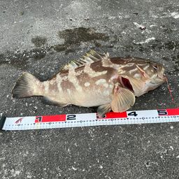 クエ