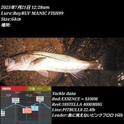 シーバス