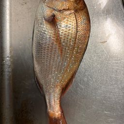 タイ