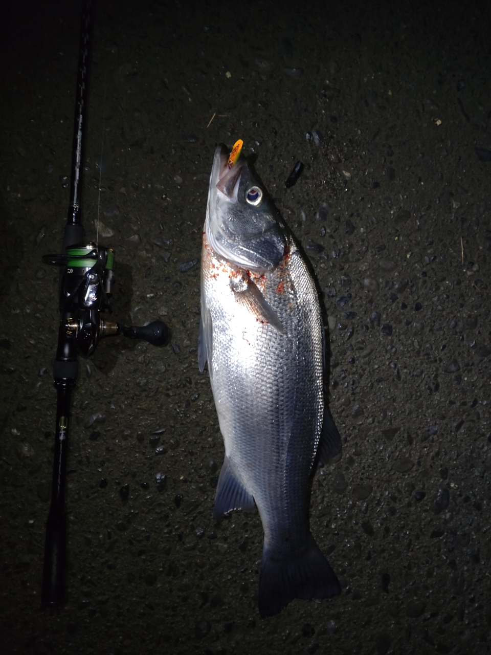 シマノ　エクスセンスジェノス S92ML/F-3 シマノ(SHIMANO) エクスセンス S902ML/F-3 - Technical