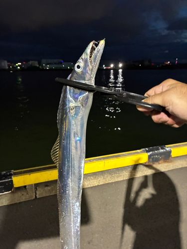 釣果