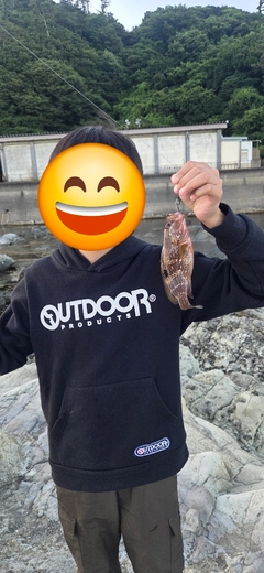 キジハタの釣果