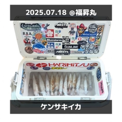 ケンサキイカの釣果