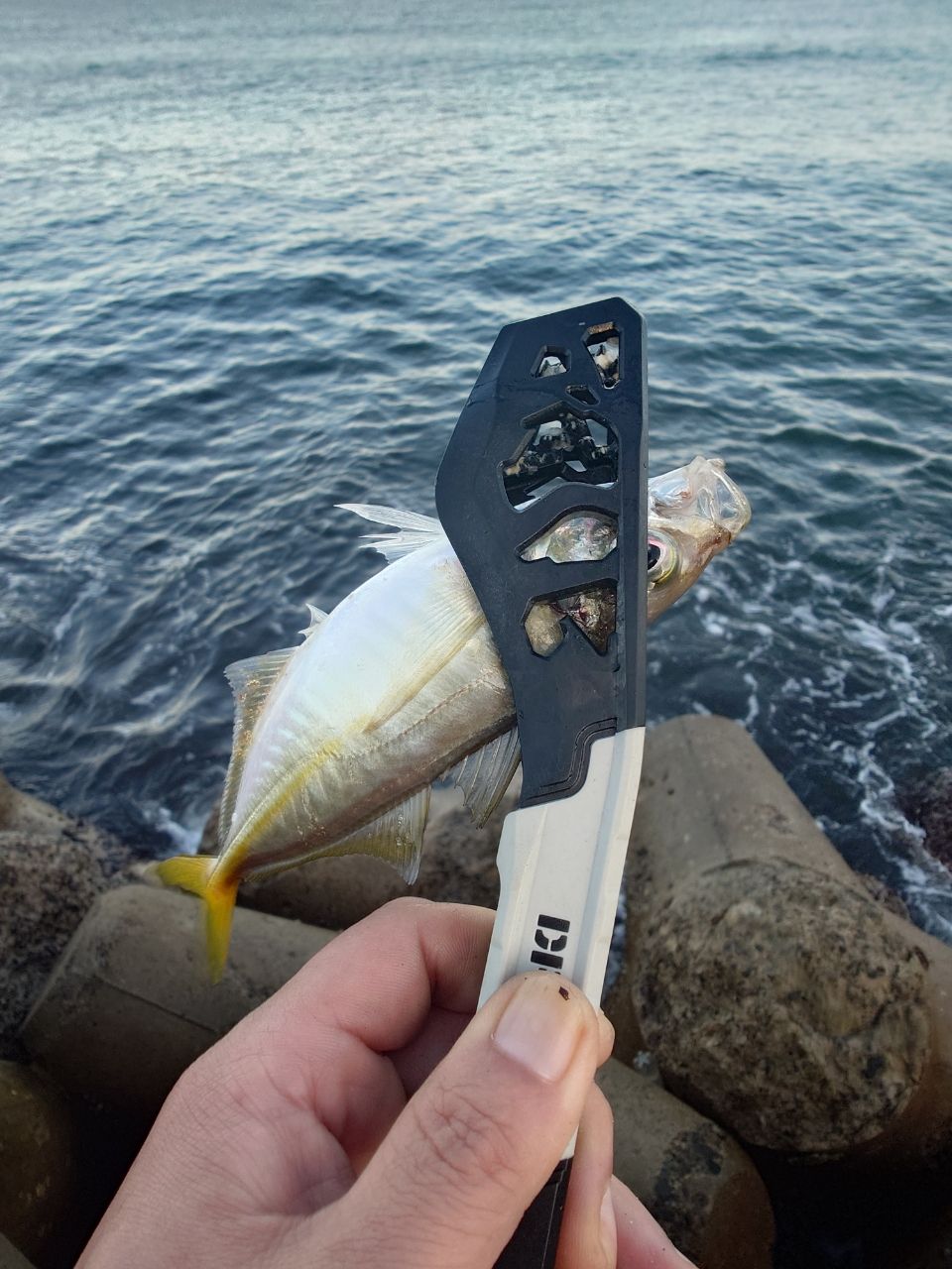 SHIMANO 19ソアレ BB アジング S610L-Sの最安値・インプレ・釣果