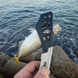 アジ