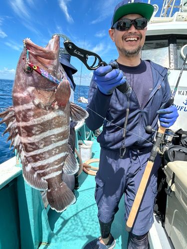 マハタの釣果