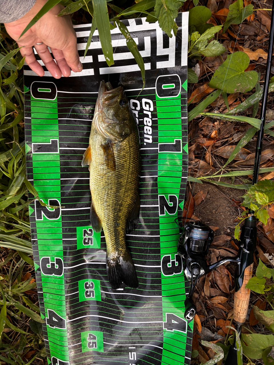 NORIES ロードランナー ストラクチャーNXS スピニングモデル STN610LLS