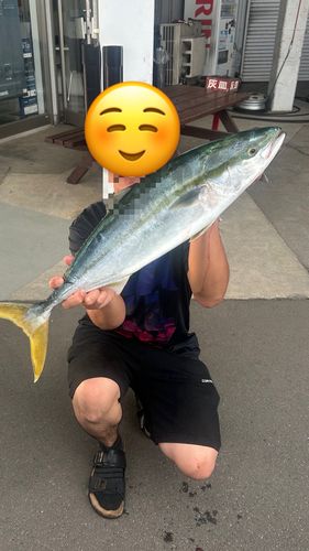 ワラサの釣果