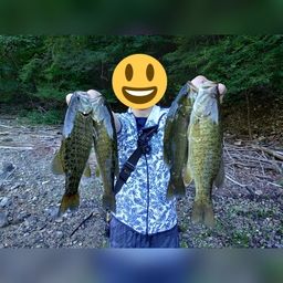 スモールマウスバス