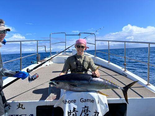キハダマグロの釣果