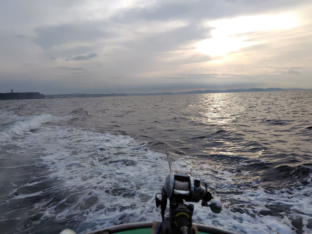 kool01_jpさんの釣果 2枚目の画像