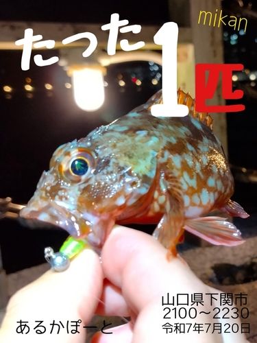 釣果