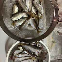 アジ