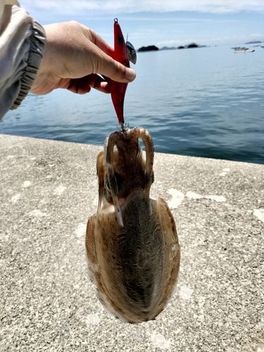 釣果