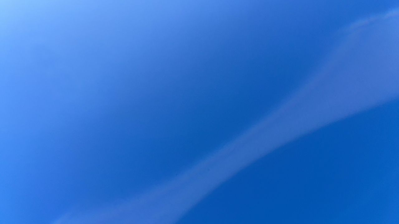 キジハタ