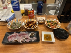 イサキの釣果