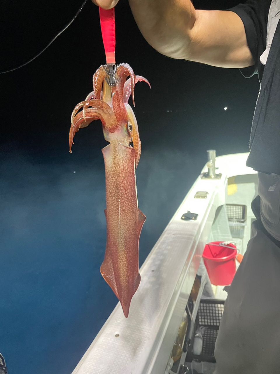 HUMMERⅢ 船長さんの釣果 1枚目の画像