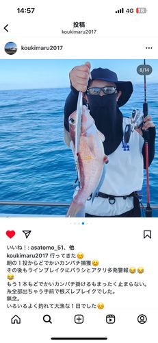 アカアマダイの釣果