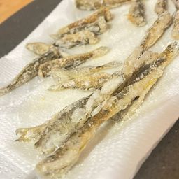 マハゼ