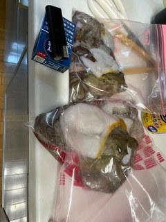 タコの釣果