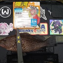 オオモンハタ
