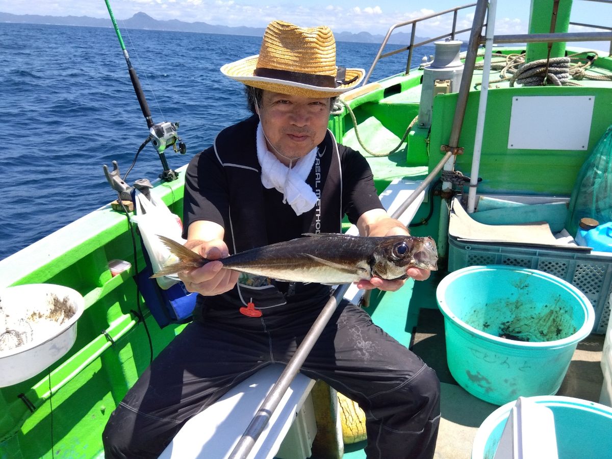 せどおと丸さんの釣果 2枚目の画像