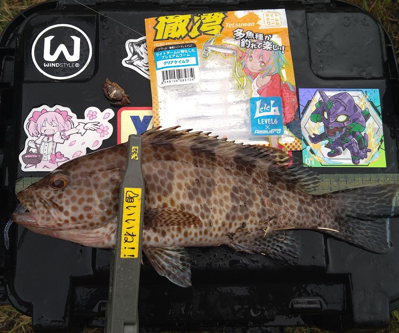 YAMAGA Blanks 20ブルーカレント 3 69の最安値・インプレ・釣果