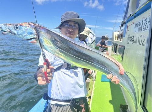 タチウオの釣果