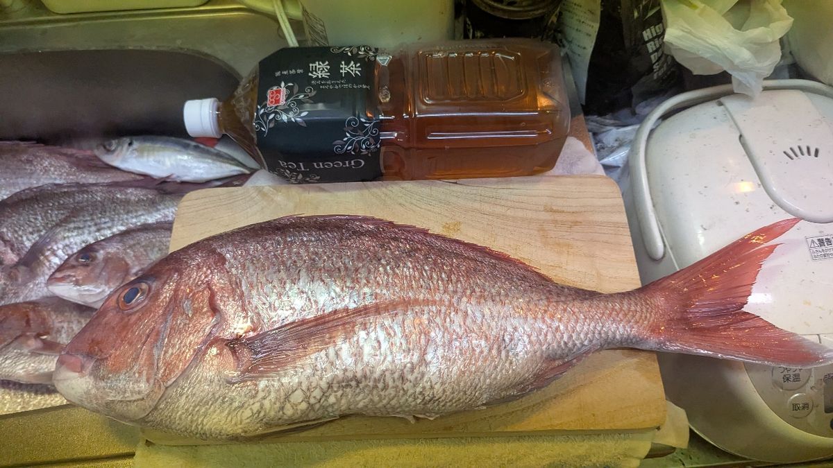 ソエソエさんの釣果 3枚目の画像