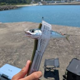 マサバ