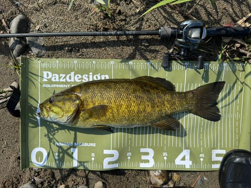 スモールマウスバス