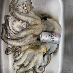 タコ