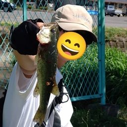 ブラックバス
