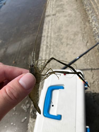 立田排水機場前